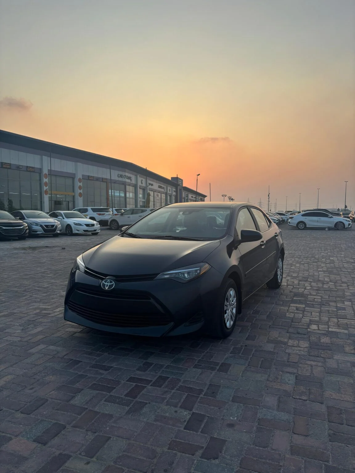 2019 TOYOTA COROLLA